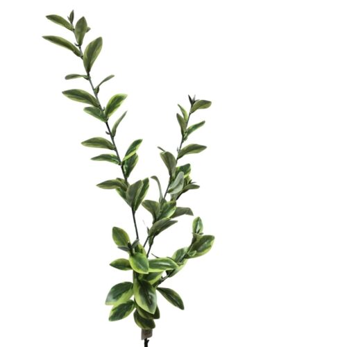 Artificial Pittosporum variegated Leaf Spray 85cm