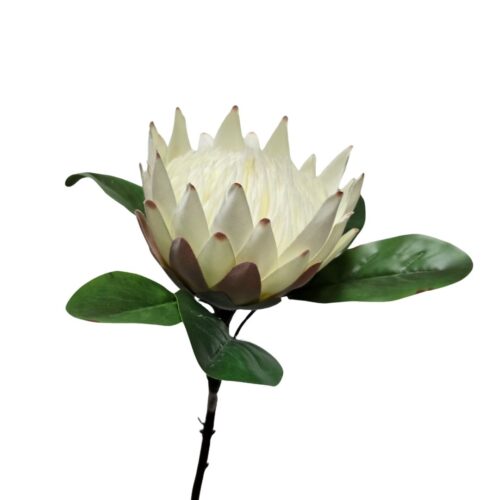 Artificial Protea Australis White 65cm