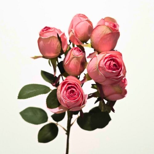 Faux Flora Spray Rose Coral 69cm