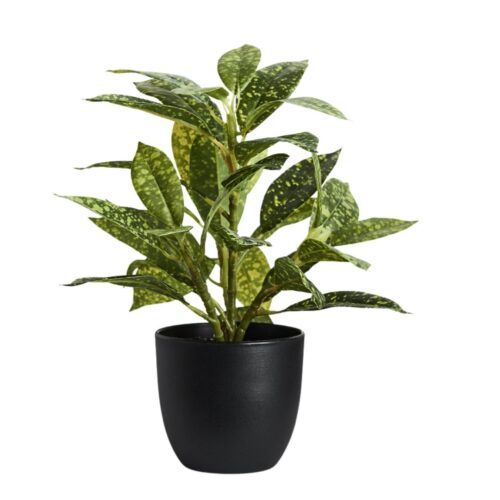 Artificial Dieffenbachia Plant Lime 27cm