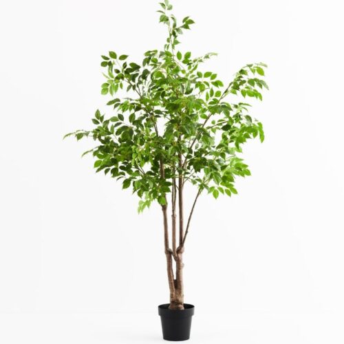 Artificial Ficus Benjamina Tree 180cm