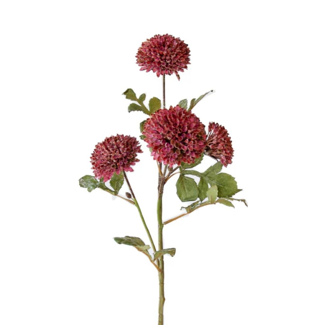 Scabiosa Pincushion Spray Dark Pink 66cm