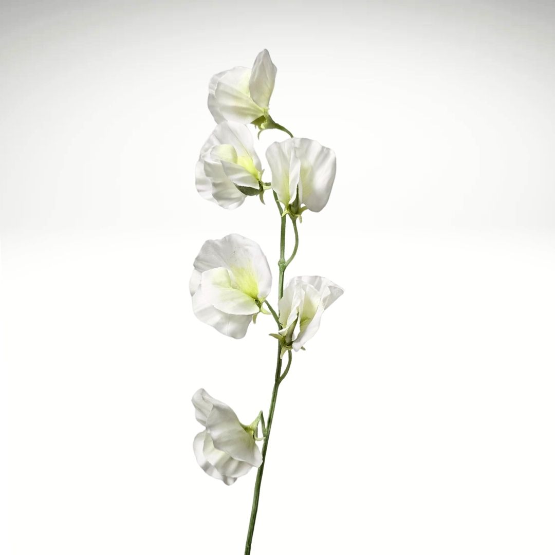 ✨ 極美品 ゼクシィ掲載完売品✨フルア flua white sweet pea Artificial Sweet Pea White 42cm - Desflora