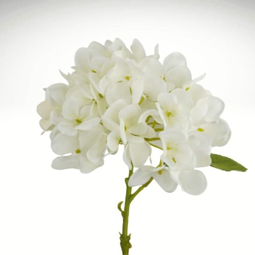 Hydrangea Little Diva White 35cm