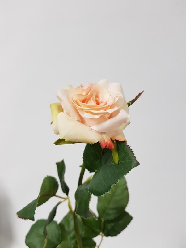 Artificial Miniflora Rose Champagne 58cm - Desflora