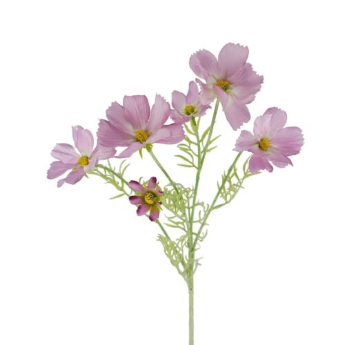 Cosmos Wild Flower Lilac 61cm