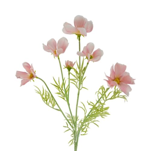 Cosmos Wild Flower Pink 61cm