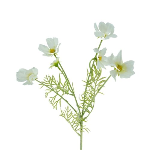 Cosmos Wild Flower White 61cm