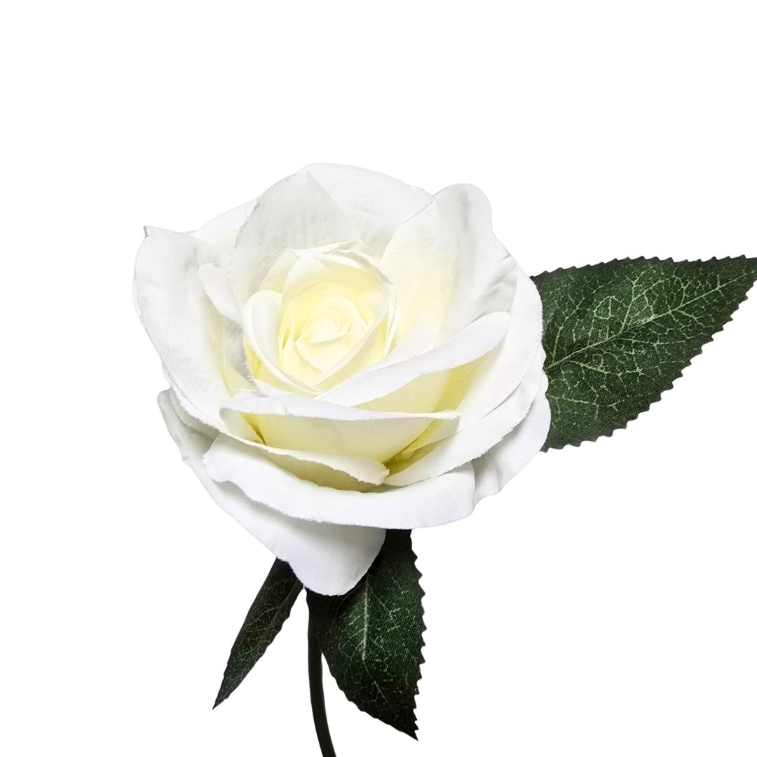 Budget Rose Envy White 32cm - Desflora