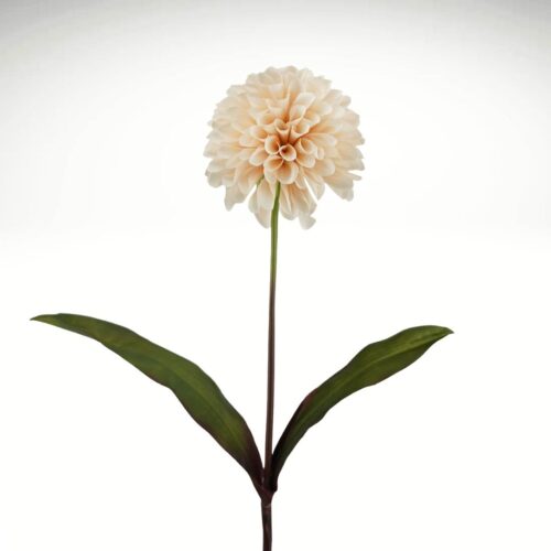 Chrysanthemum Pompom Champagne 72cm