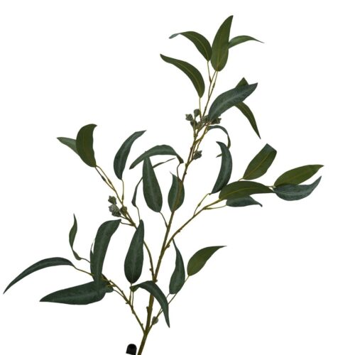 Eucalyptus Gum nut leaf Spray 99cm