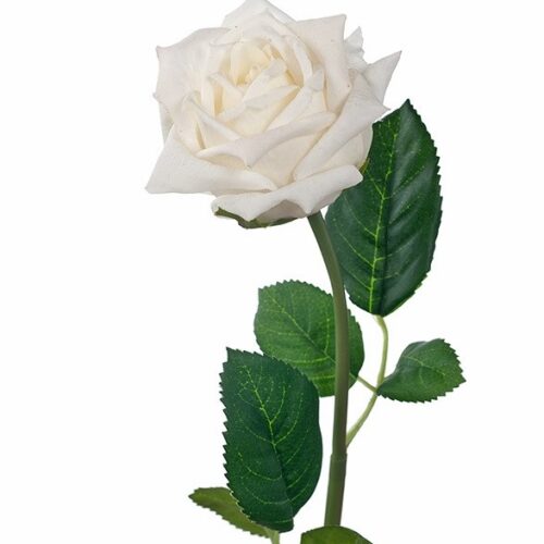 Rose Louise White 46cm