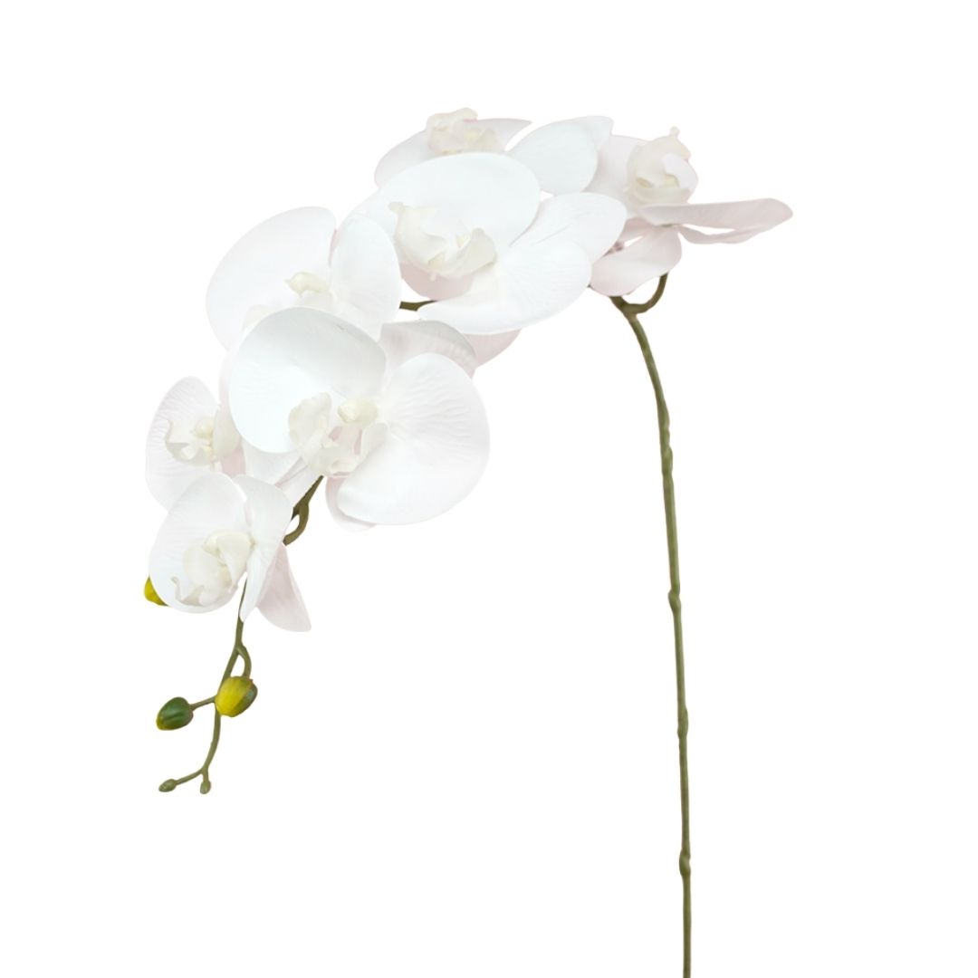 Artificial Phalaenopsis Orchid Nelly White 84cm