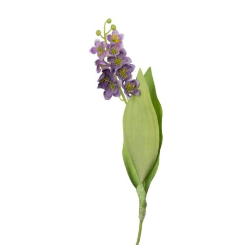 Campanula Bell flower Purple 40cm