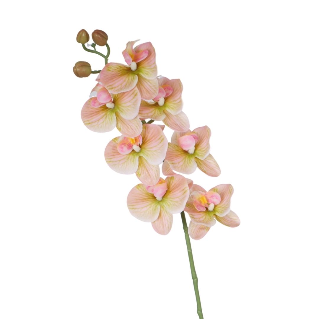 Artificial Phalaenopsis Orchid Paisly Pink 76cm