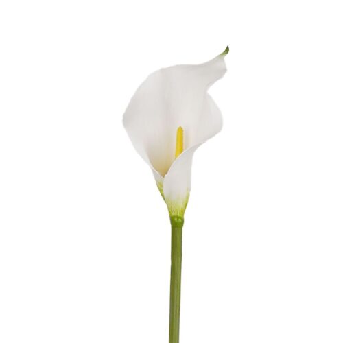 Artificial Calla Lily Zanthe White 50cm