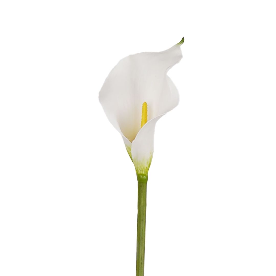 Artificial Calla Lily Zanthe White 50cm