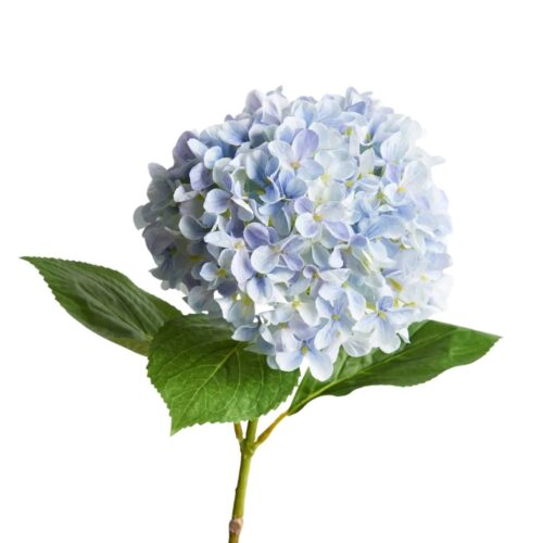 Artificial Hydrangea Annabelle Soft Blue 68cm