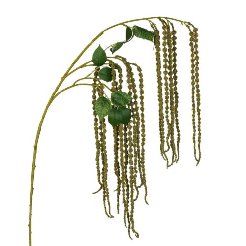 Amaranthus Cascade Olive 125cm