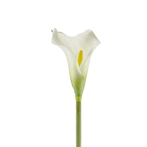 Artificial Calla Lily Zara White 61cm