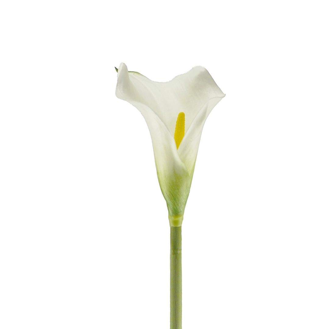 Artificial Calla Lily Zara White 61cm