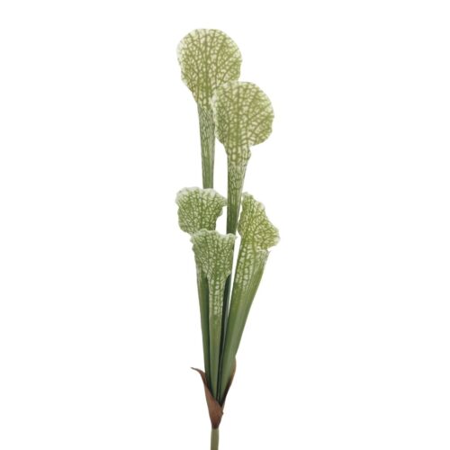 Artificial Whitetop Pitcher Plant 43cm