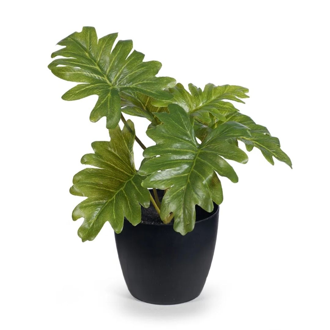 Artificial Mini Philodendron Plant 15cm