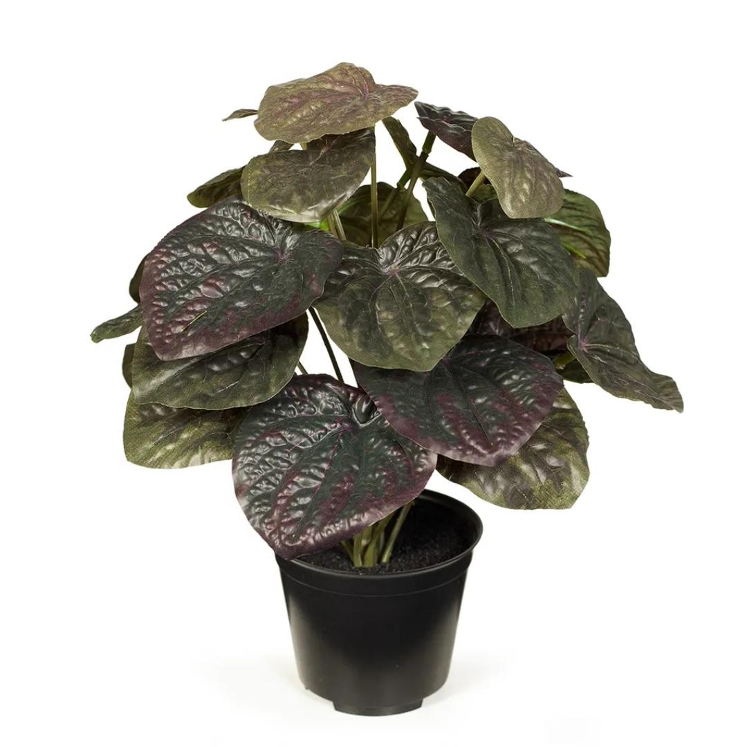 Artificial Peperomia Rata Plant Olive 26cm