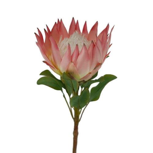 Artificial King Protea Coral 73cm