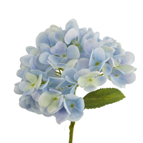 Hydrangea Little Diva Brighter Blue 35cm