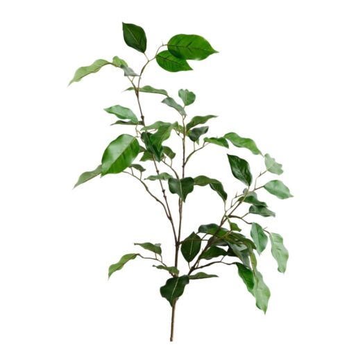 Natural Ficus Leaf Branch 93cm
