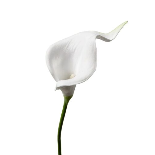 Artificial Calla Lily White 34cm