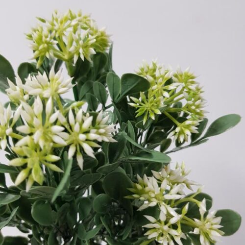 Cream Seeded Berry Bush 31cm