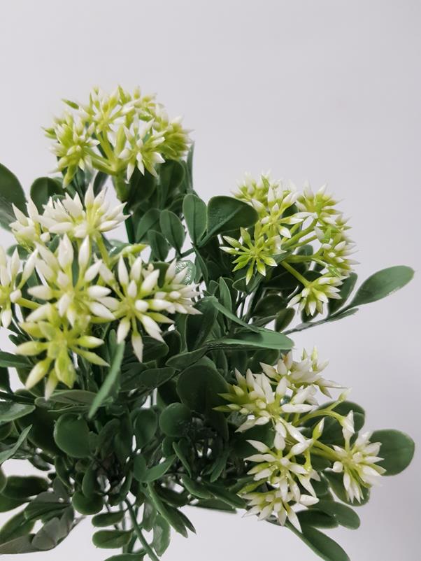 Cream Seeded Berry Bush 31cm