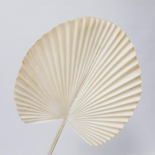 Artificial Fan Palm Champagne 72cm