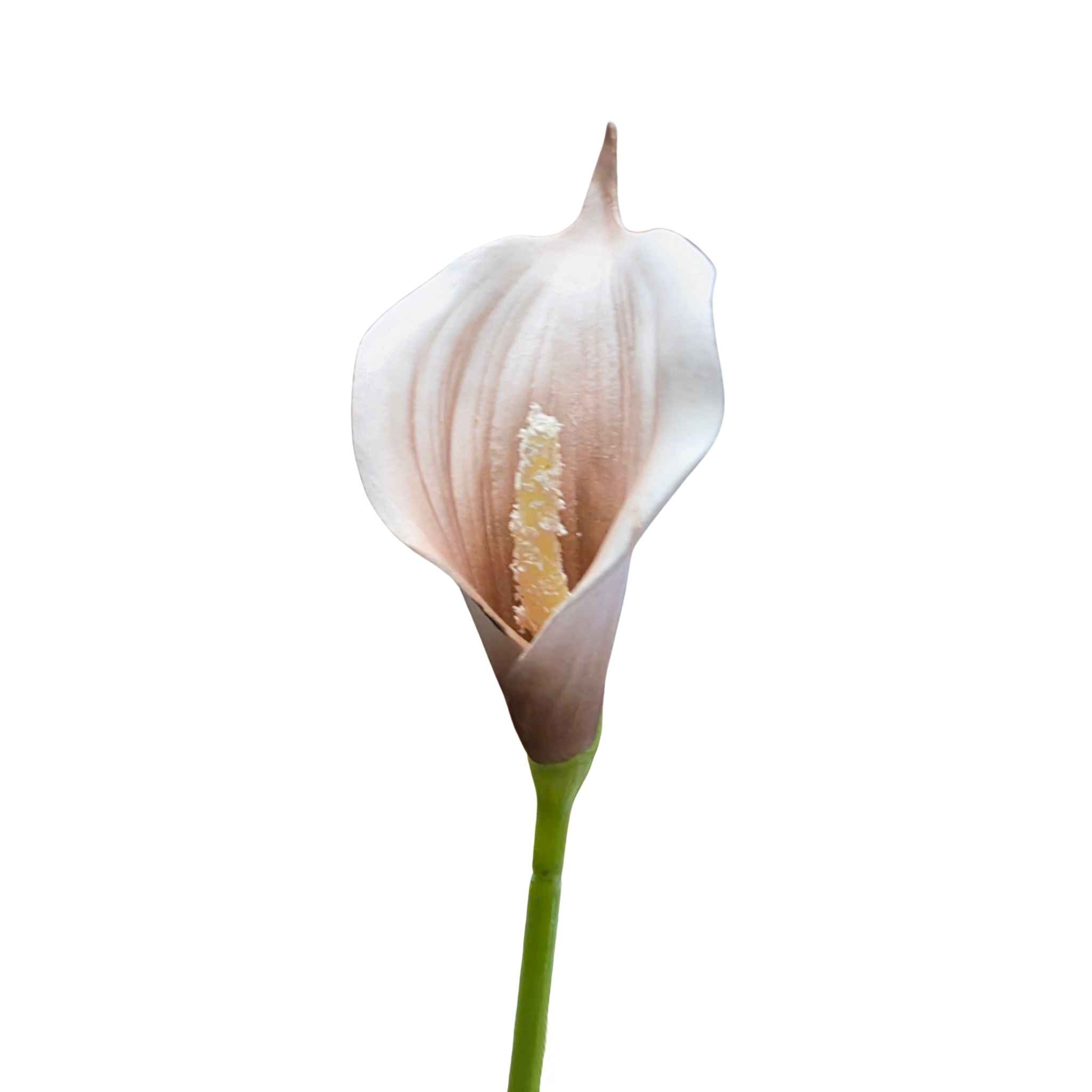 Artificial Calla Lily Dainty Mocha 36cm