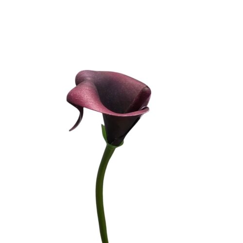 Artificial Calla Lily Mini Burgundy 38cm