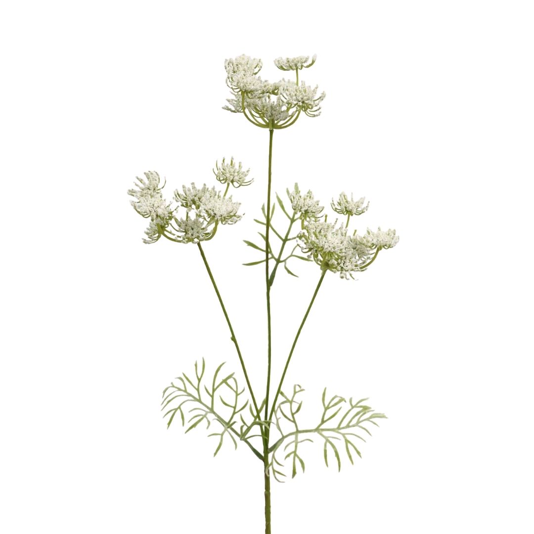 Artificial Queen Anne Lace White 52cm