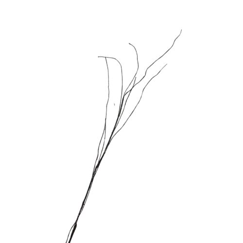 Artificial Stick Vine Brown 112cm