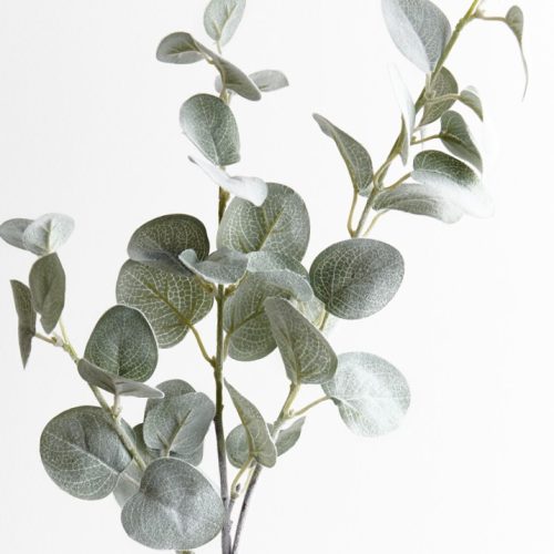 Dollar Eucalyptus Spray 69cm