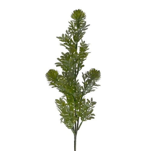 Seeded Succulent Spray Green 63cm