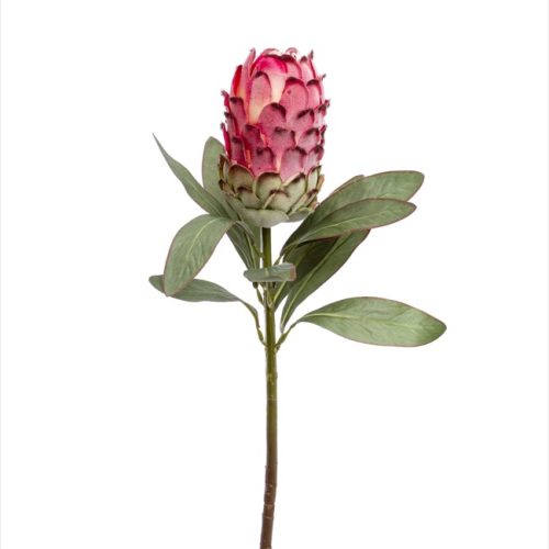 Artificial Native Protea Pink 75cm