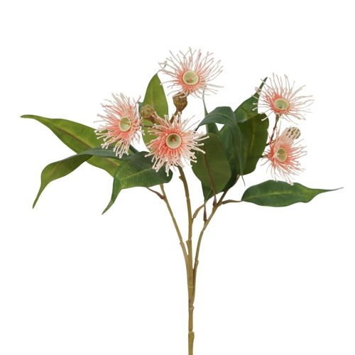 Eucalyptus Flowering Gum Spray Pink 65cm