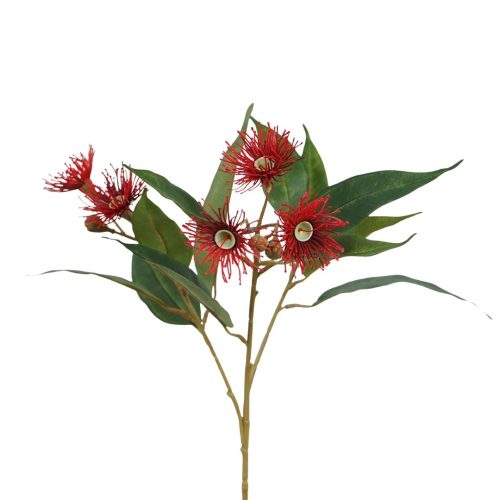 Eucalyptus Flowering Gum Spray Red 65cm