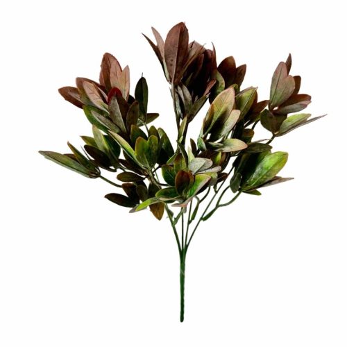 MIni Bay Leaf Bush Rust 38cm