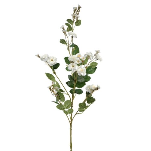Mini Garden Rose Spray White 75cm