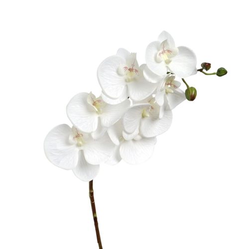 Real Touch Orchid Milky White 64cm