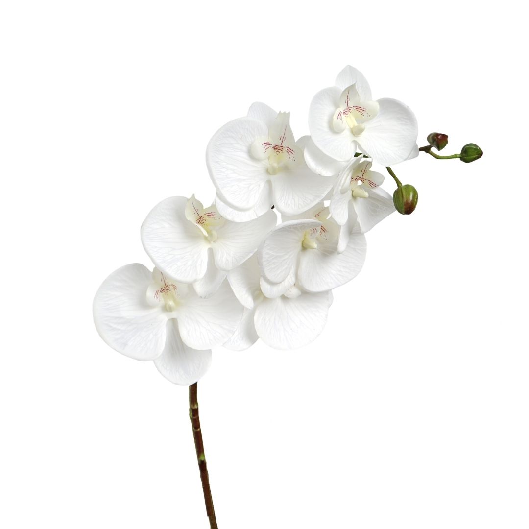 Real Touch Orchid Milky White 64cm