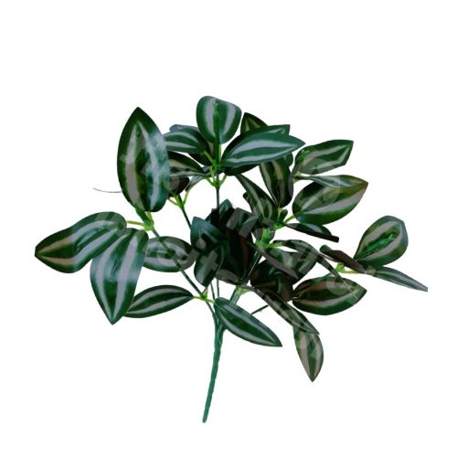 Wandering Jew bush 30cm