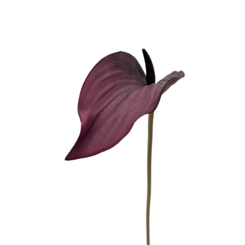 Artificial Anthurium Dark Plum 72cm